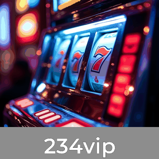 234vip: Experiência Superior com Serviços Profissionais